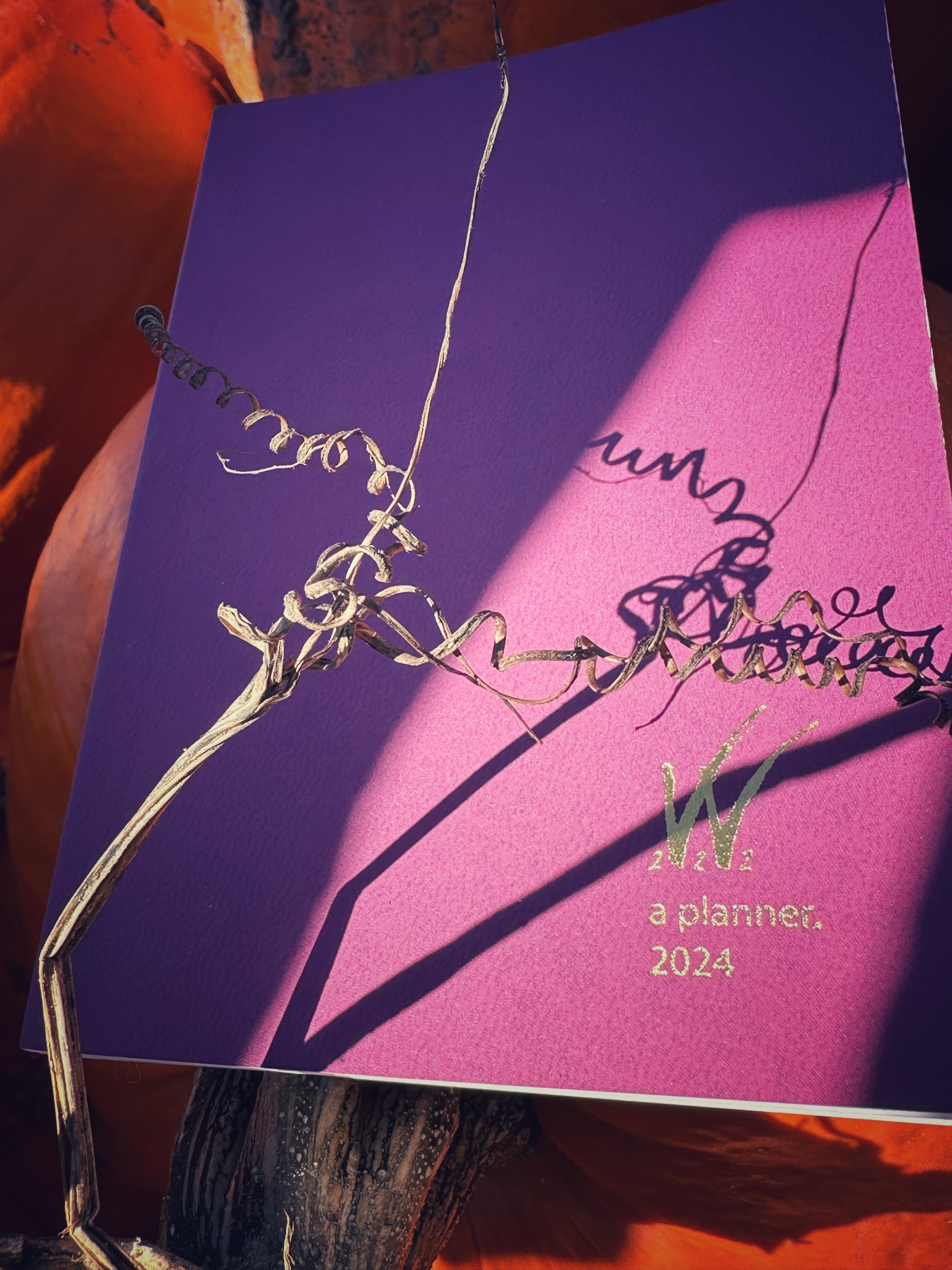 IMPERFECT Planners / Notebooks – Wonderland222