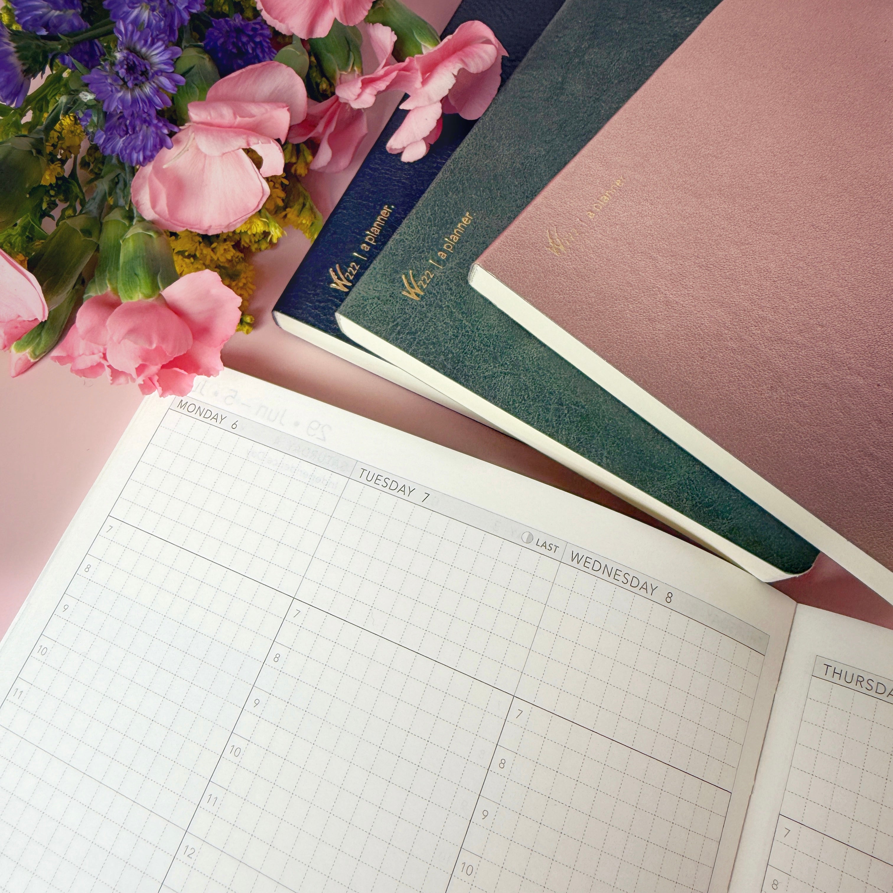 Dated Planners for Daily Planning and Goal Setting - Wonderland222