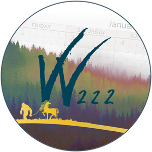Wonderland222 logo
