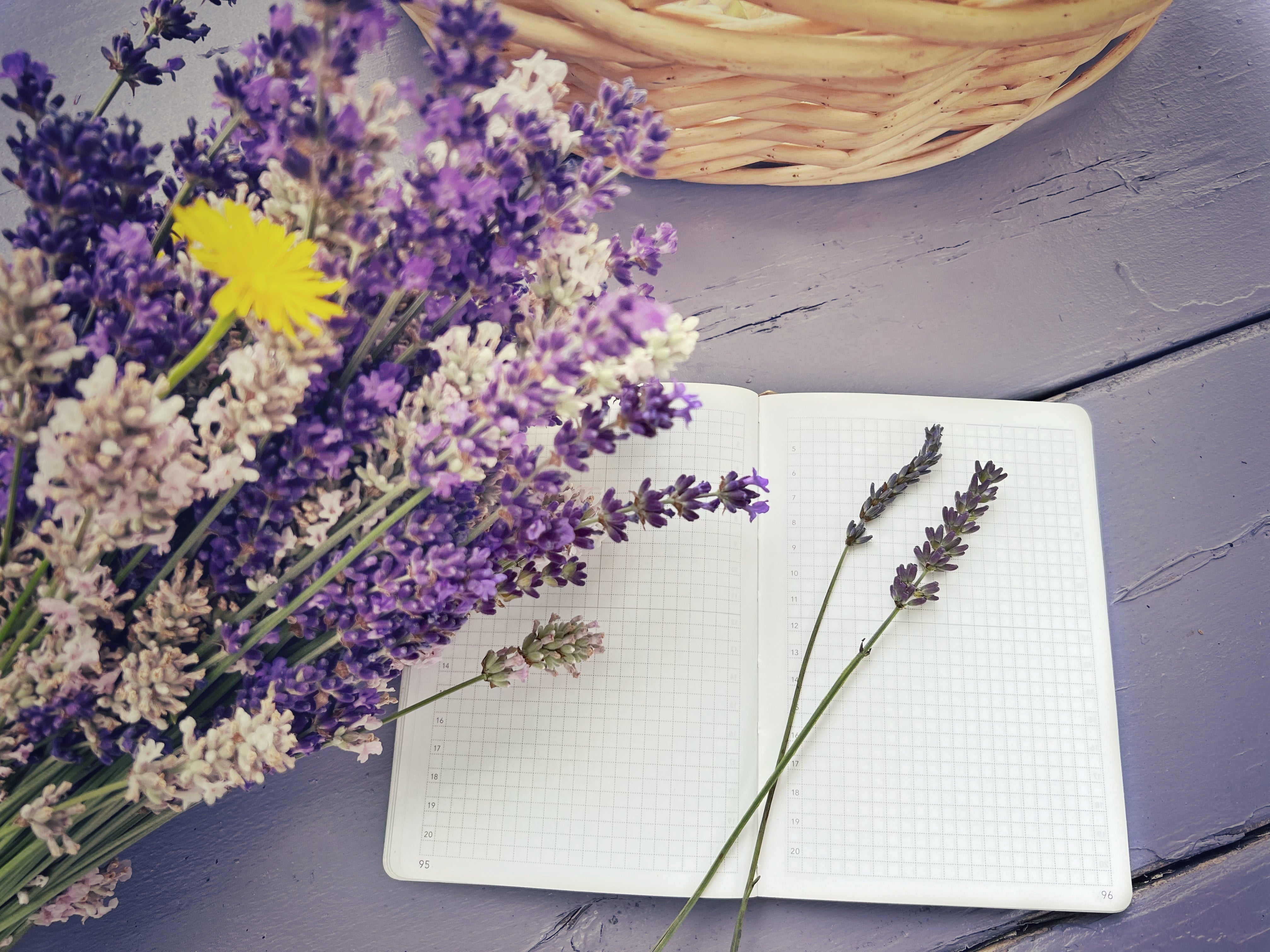 Wonderland 222 Planners and Notebooks featuring Tomoe River paper.  Minimalist design for maximum functions and creativity