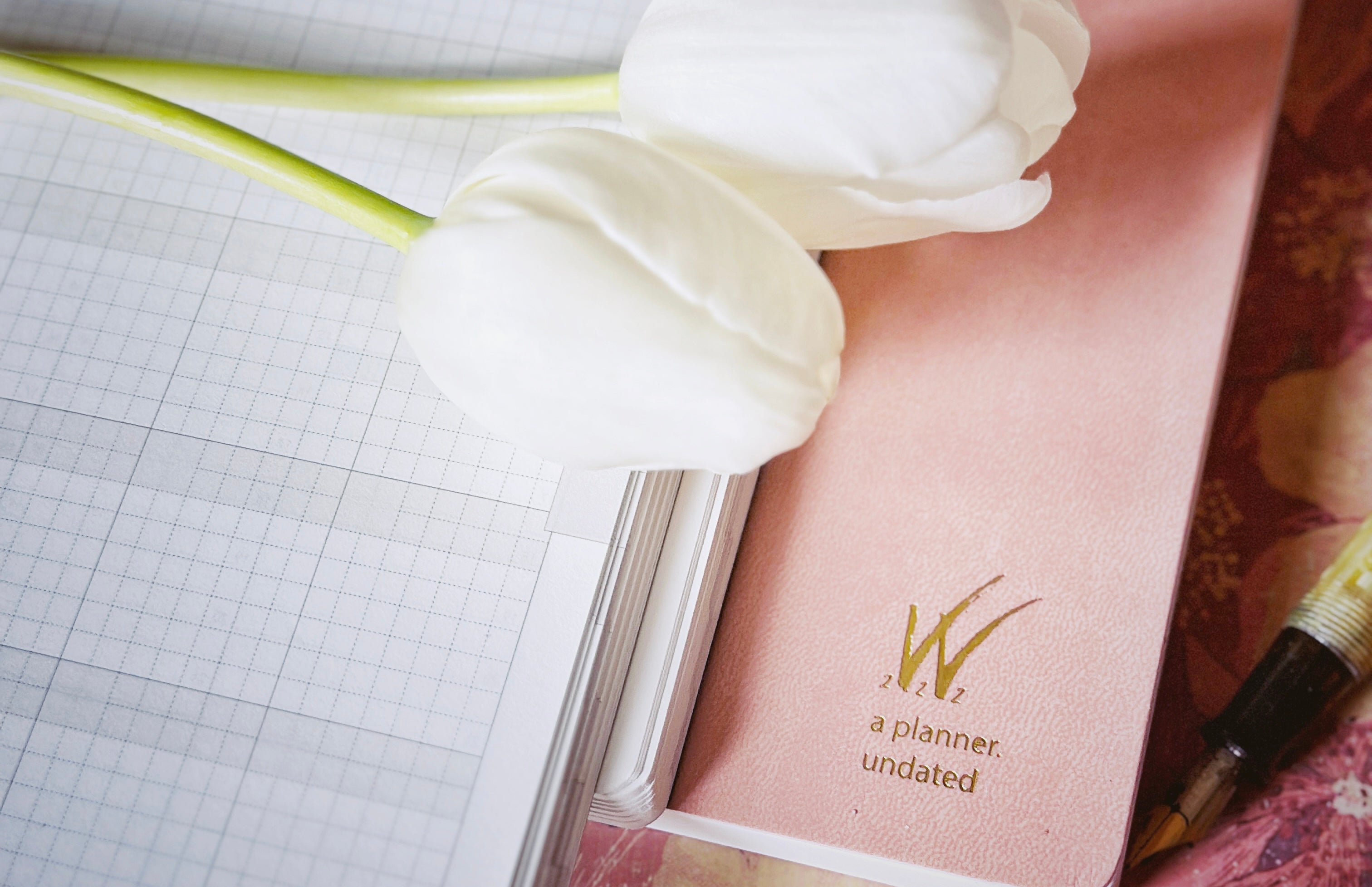 Wonderland 222 Undated Planner Collection featuring Tomoe River paper