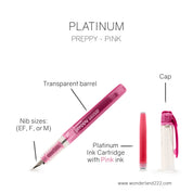 Platinum Fountain Pen | Preppy