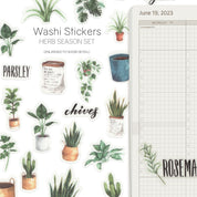 Watercolor - Washi Stickers