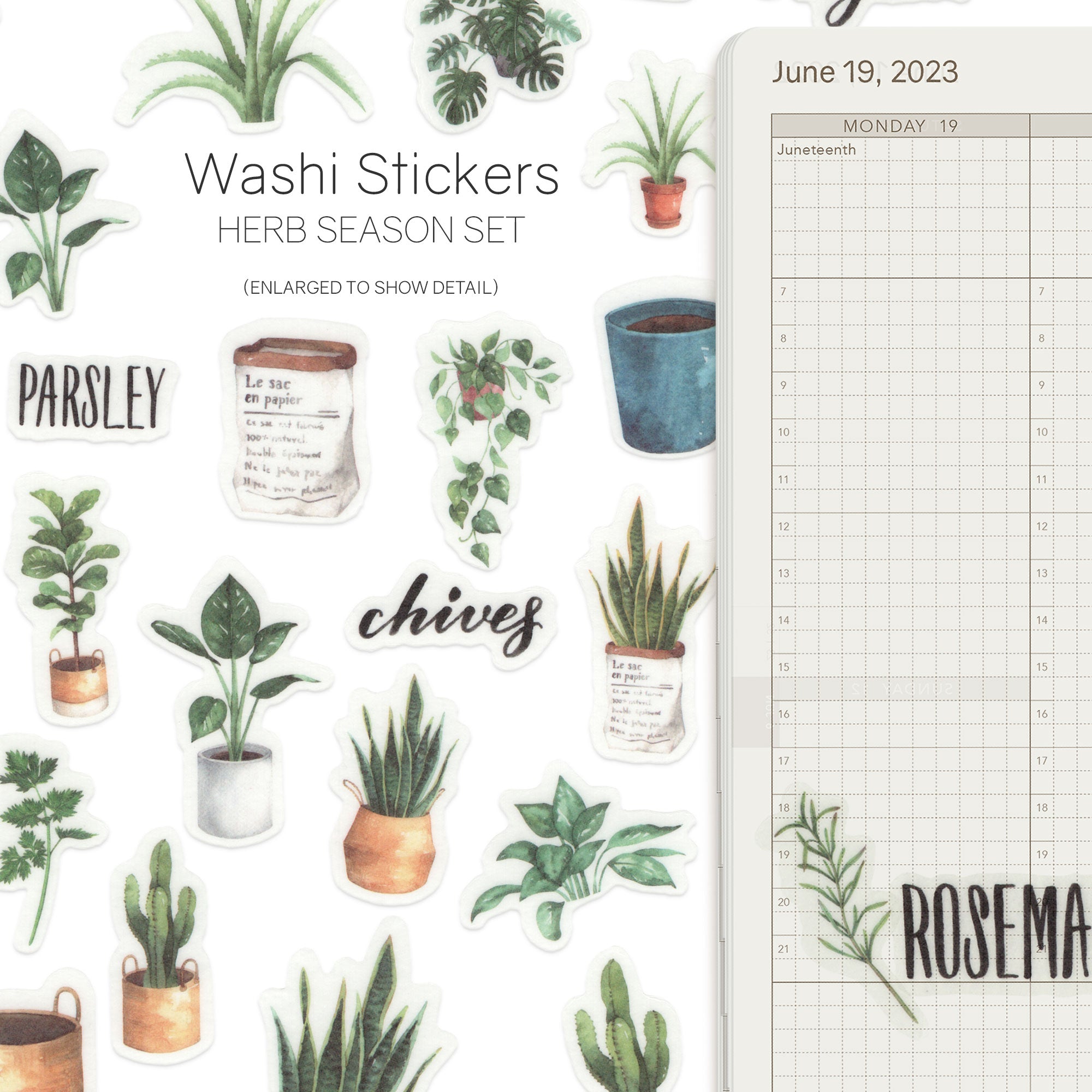 Watercolor - Washi Stickers