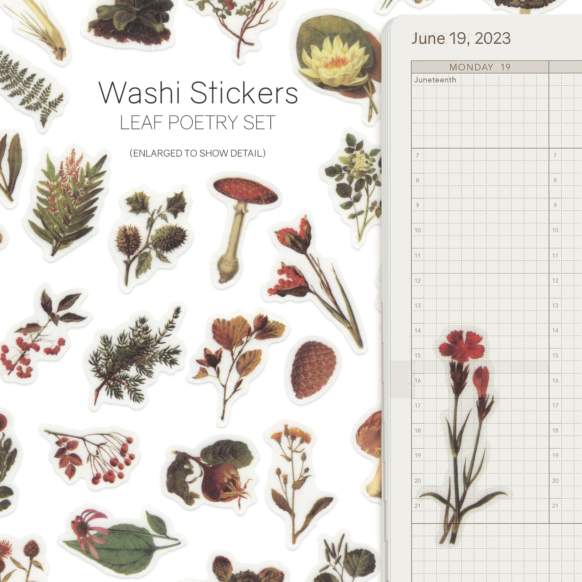 Watercolor - Washi Stickers