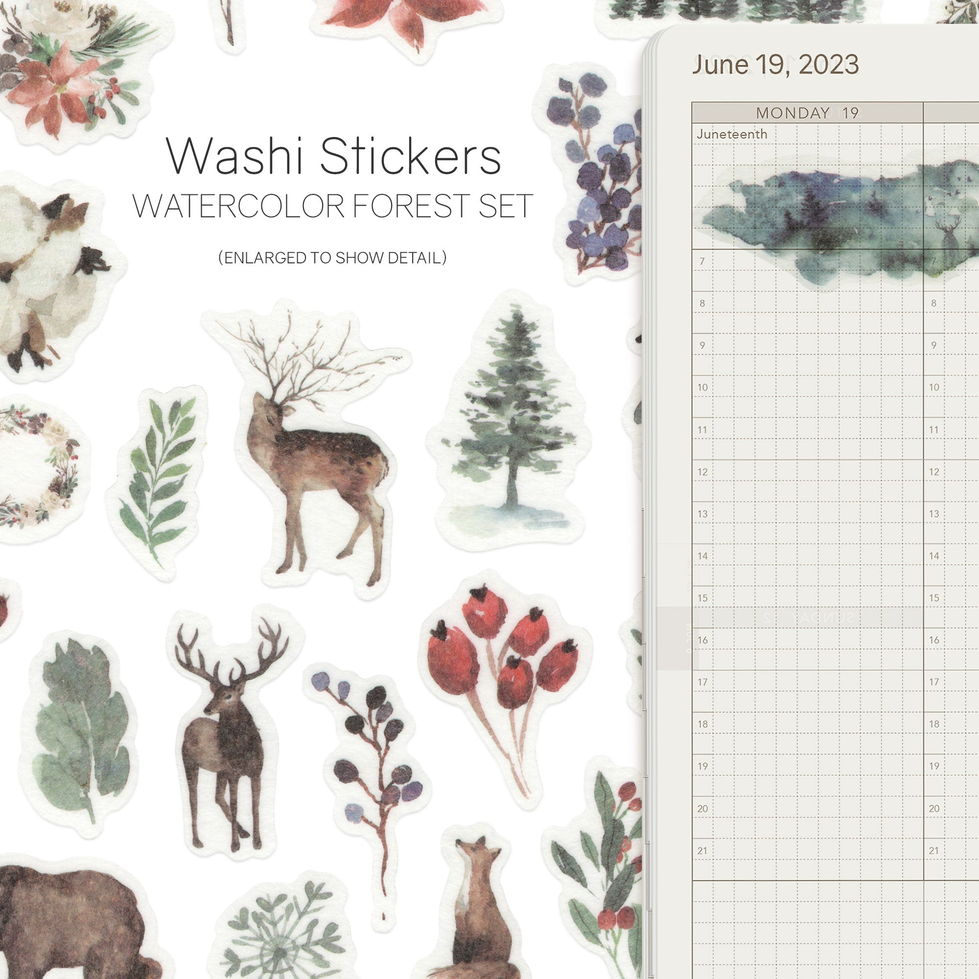 Watercolor - Washi Stickers
