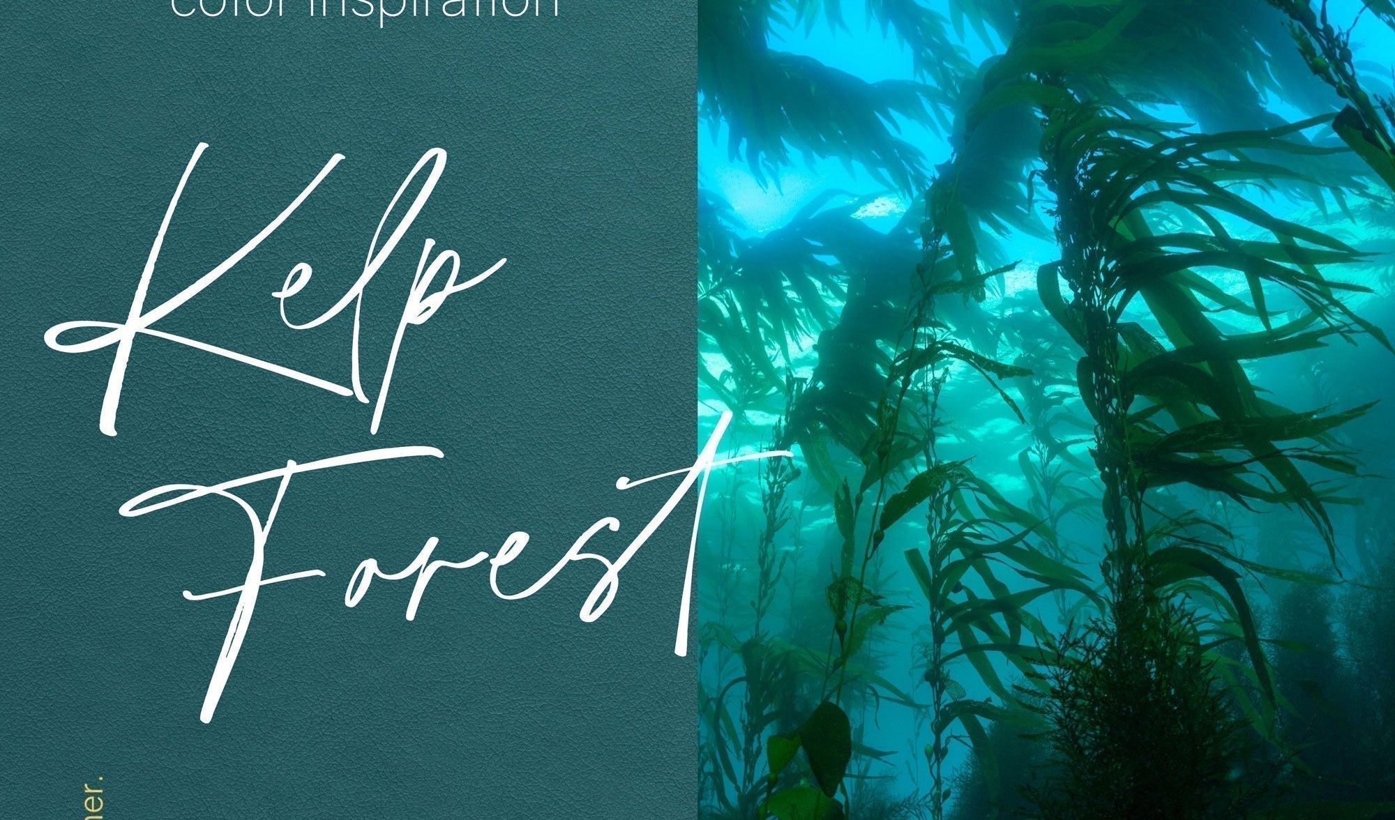 2027 Color Cover Inspiration
