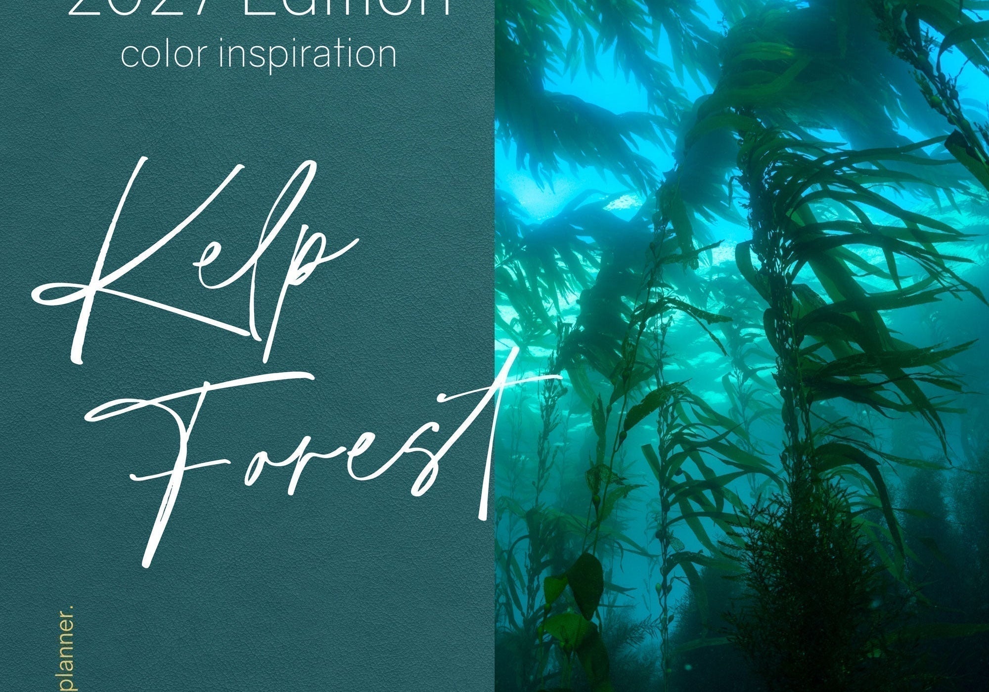 2027 Color Cover Inspiration
