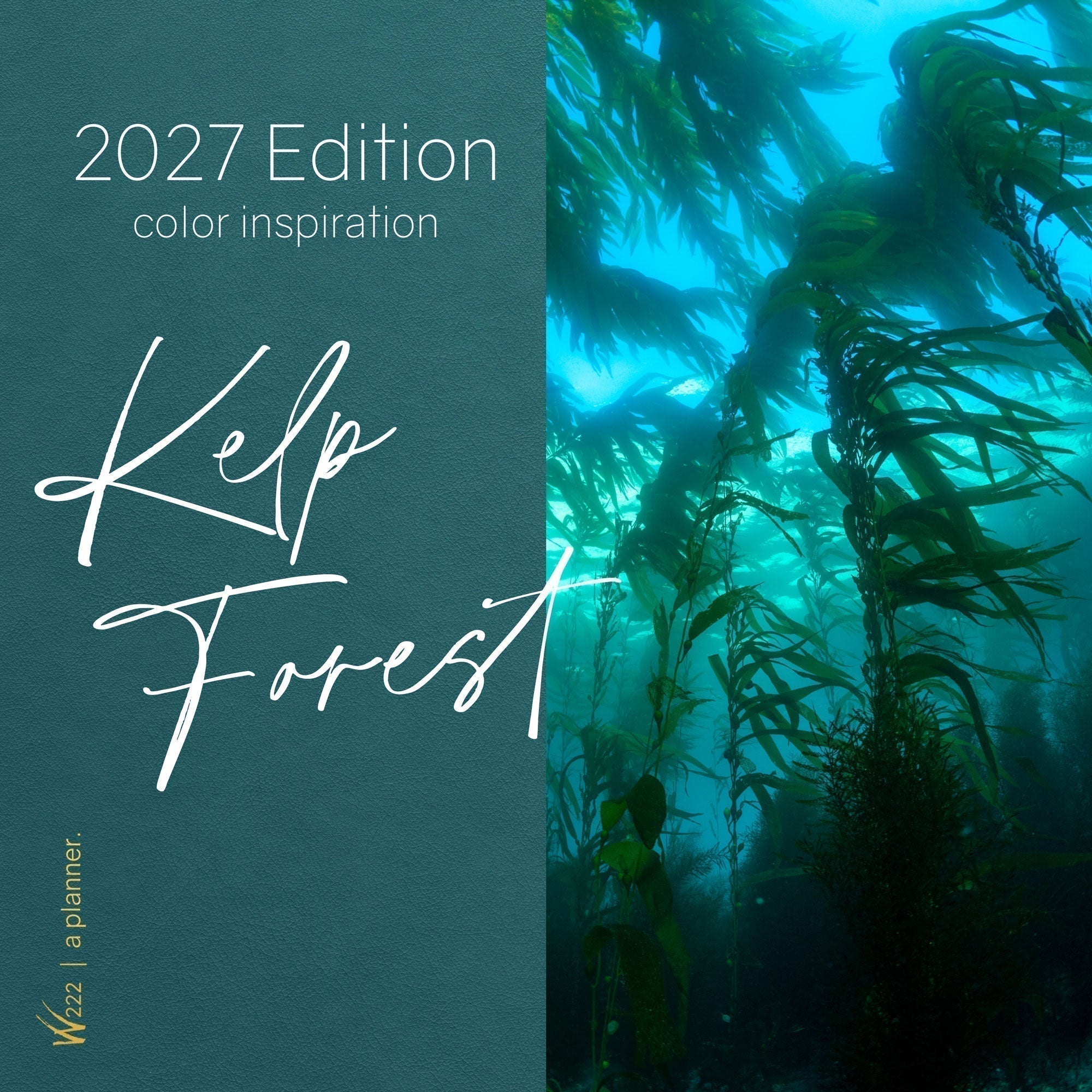2027 Color Cover Inspiration