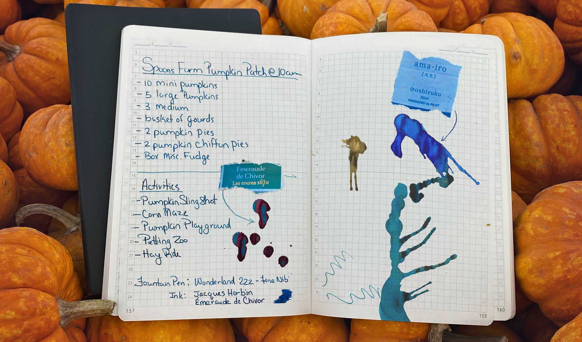 Pumpkins at Halloween on Tomoe River Paper Planners and Notebooks by Wonderland 222.  Fountain pen friendly
