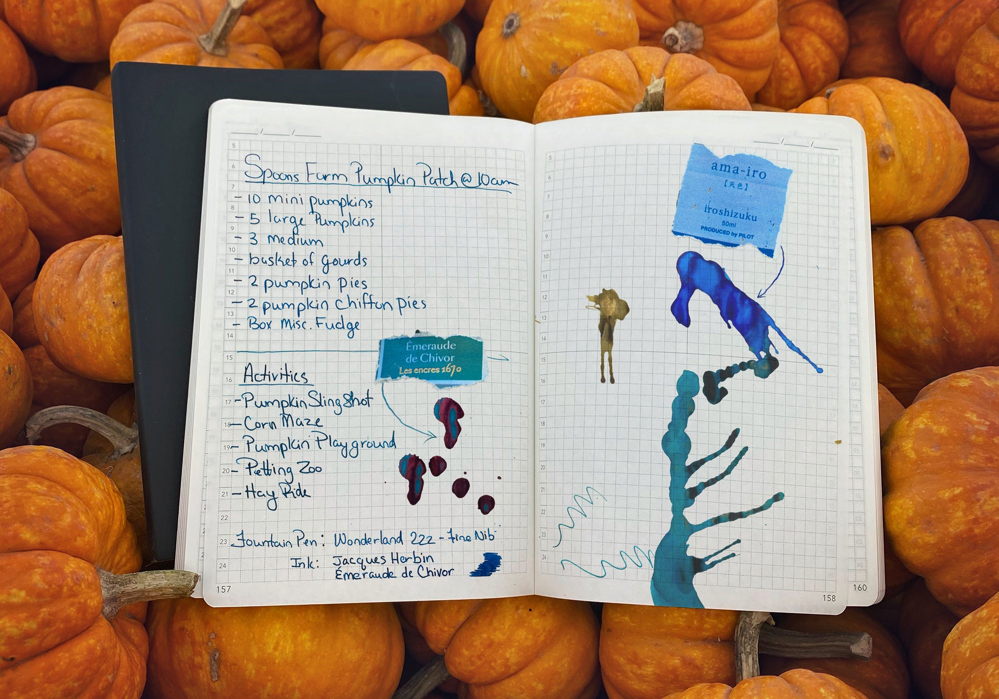 Pumpkins at Halloween on Tomoe River Paper Planners and Notebooks by Wonderland 222.  Fountain pen friendly