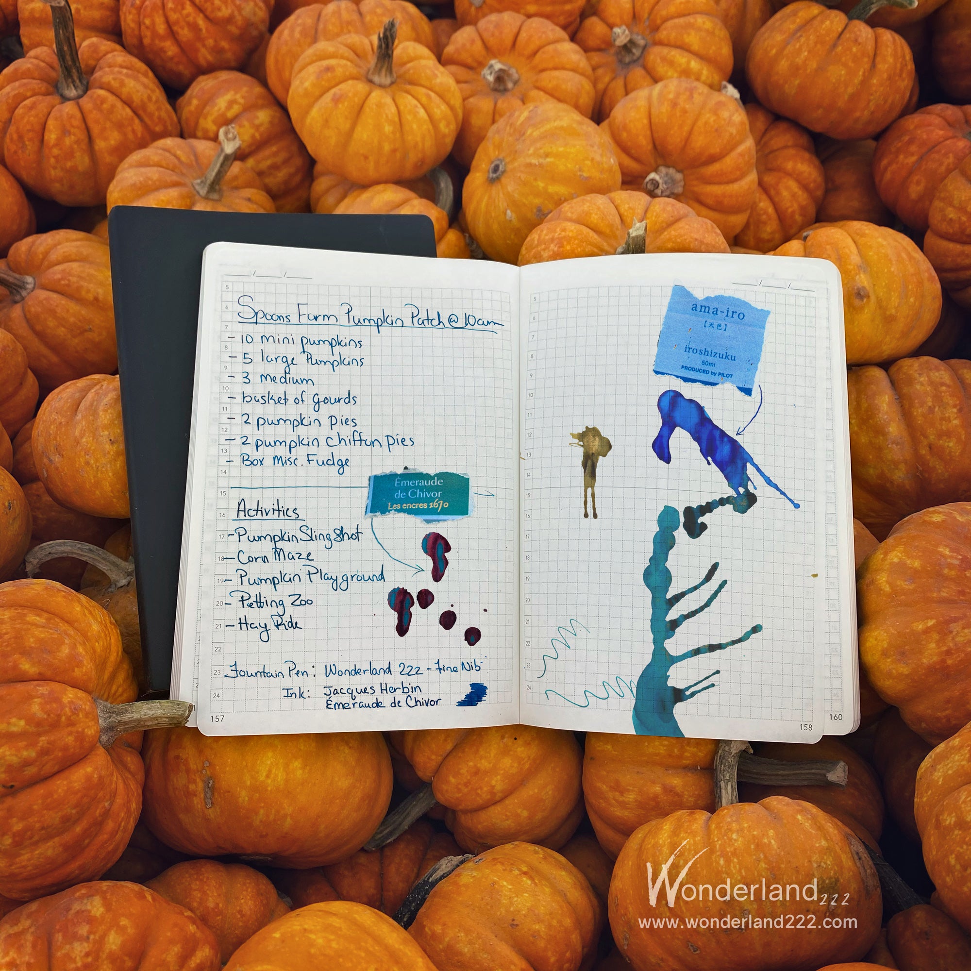 Pumpkins at Halloween on Tomoe River Paper Planners and Notebooks by Wonderland 222.  Fountain pen friendly