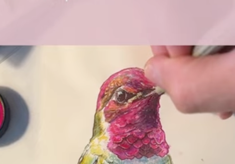 2026 Wonderland 222 New Paper Test - Watercolors