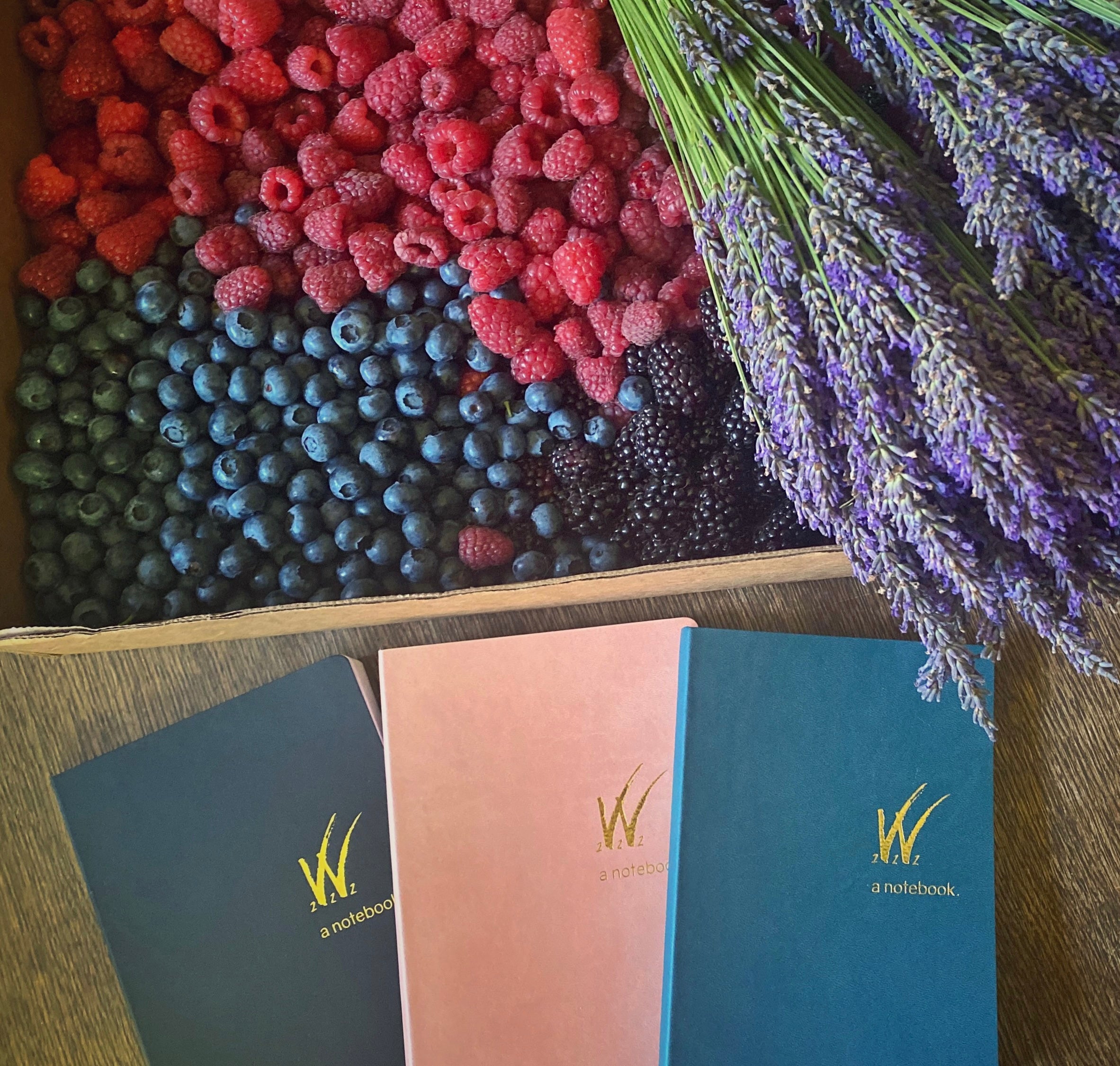 Past Planner & Notebook Editions (2022,2023,2024)