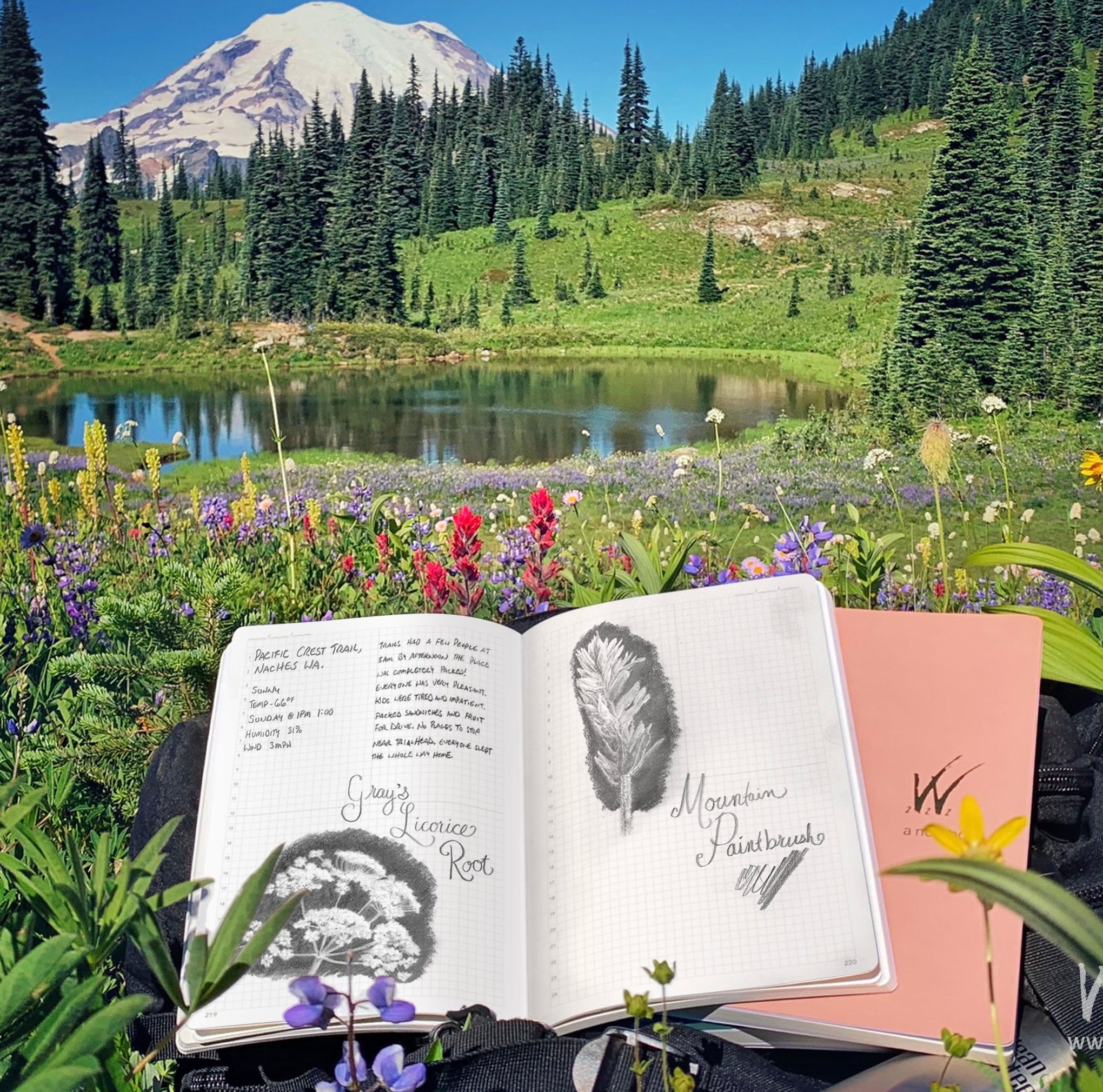 Wonderland 222 Planners, Notebooks, Journals featuring Tomoe River Paper  Mt Rainier wildflowers