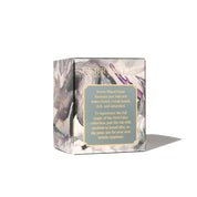 FerriTales™ Ferris Wheel Press | The Three Little Pigs | Galeforce Green 20ml