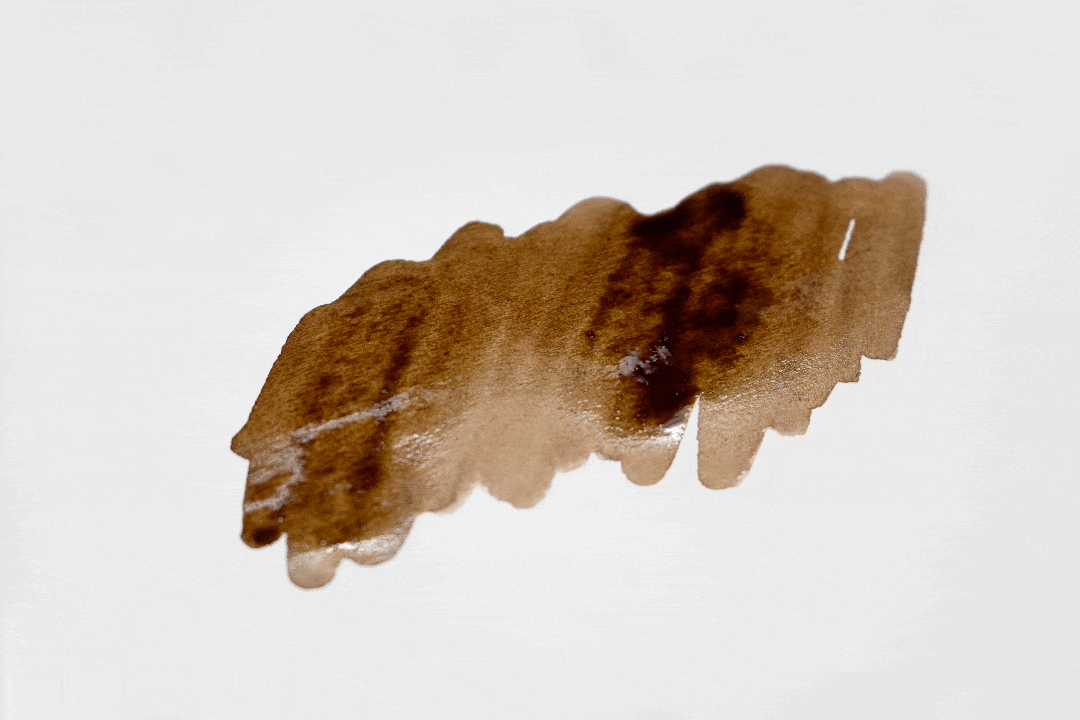 Colorverse Ink | Wildflower Series | Common Reed 15ml