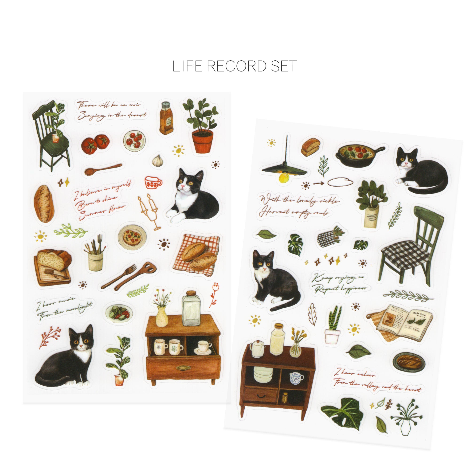 Cozy Cat PET Deco Stickers