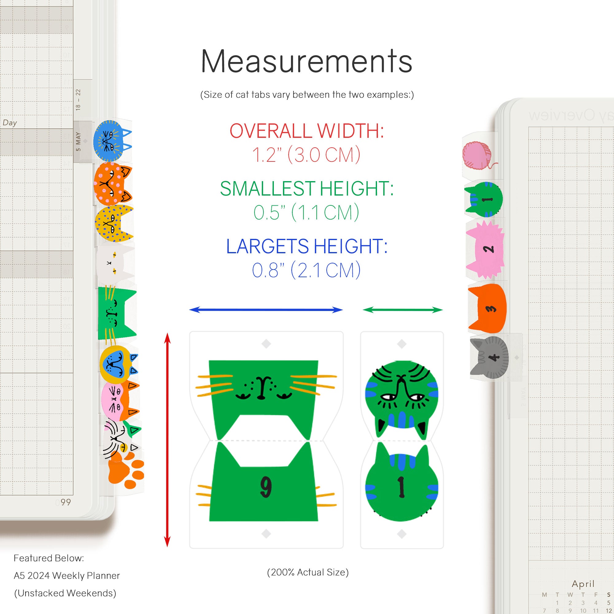 W222-Cat-Tabs-Listing-Image-Measurements.jpg