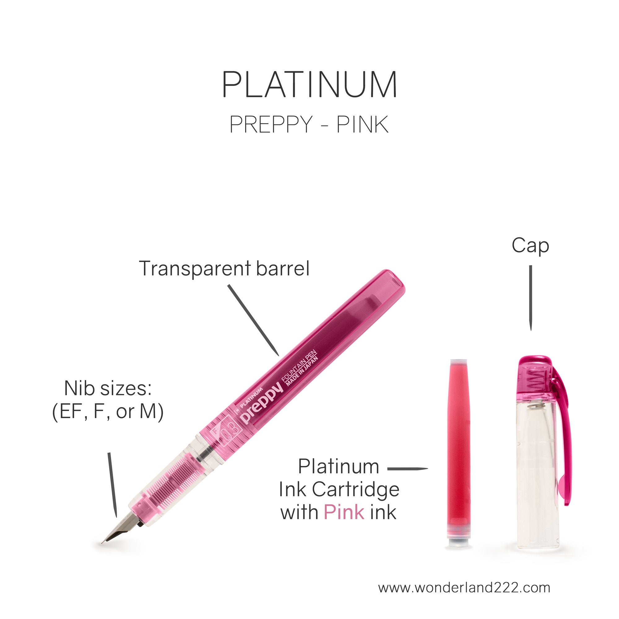 Platinum Fountain Pen | Preppy
