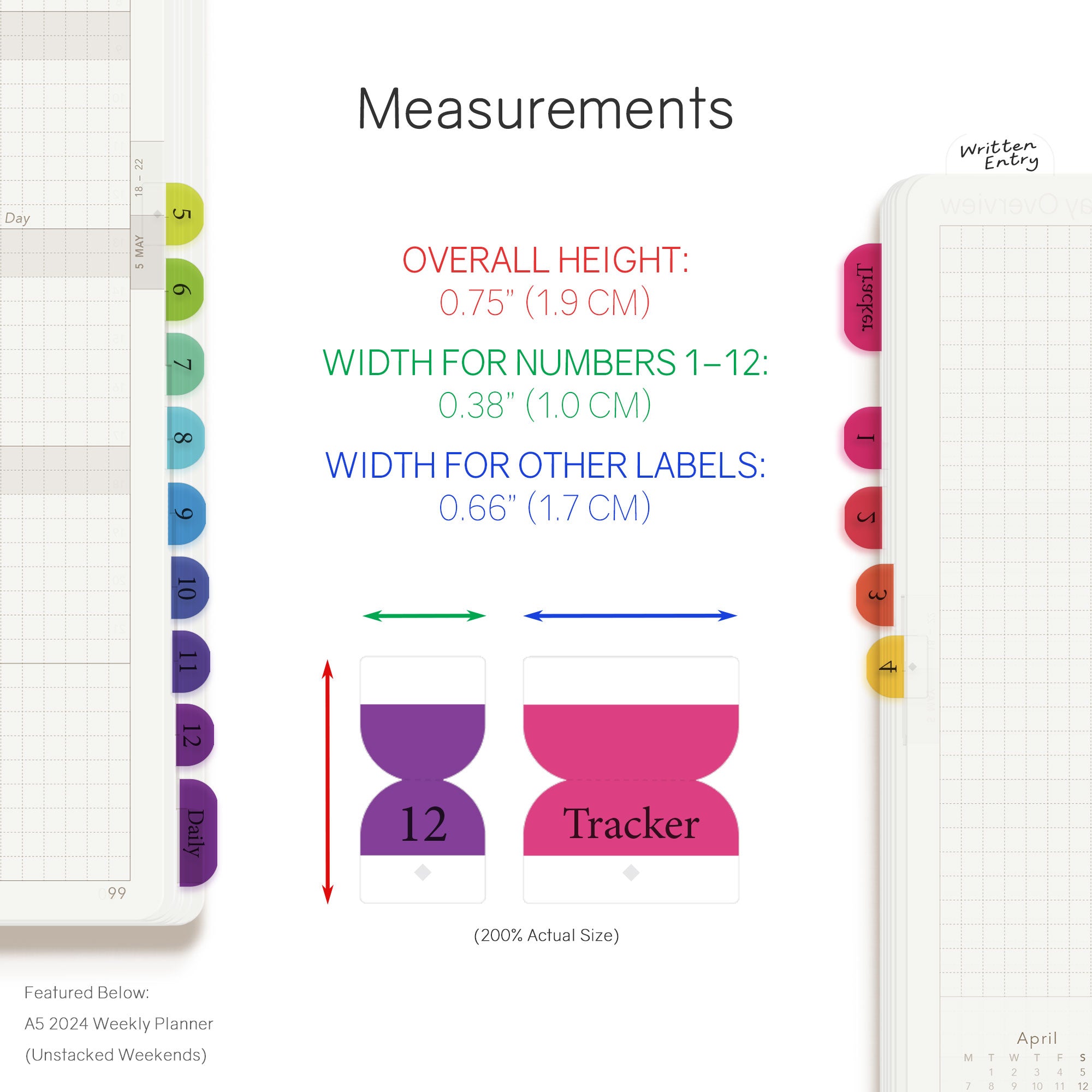 W222-Rainbow-Listing-Image-Measurements.jpg