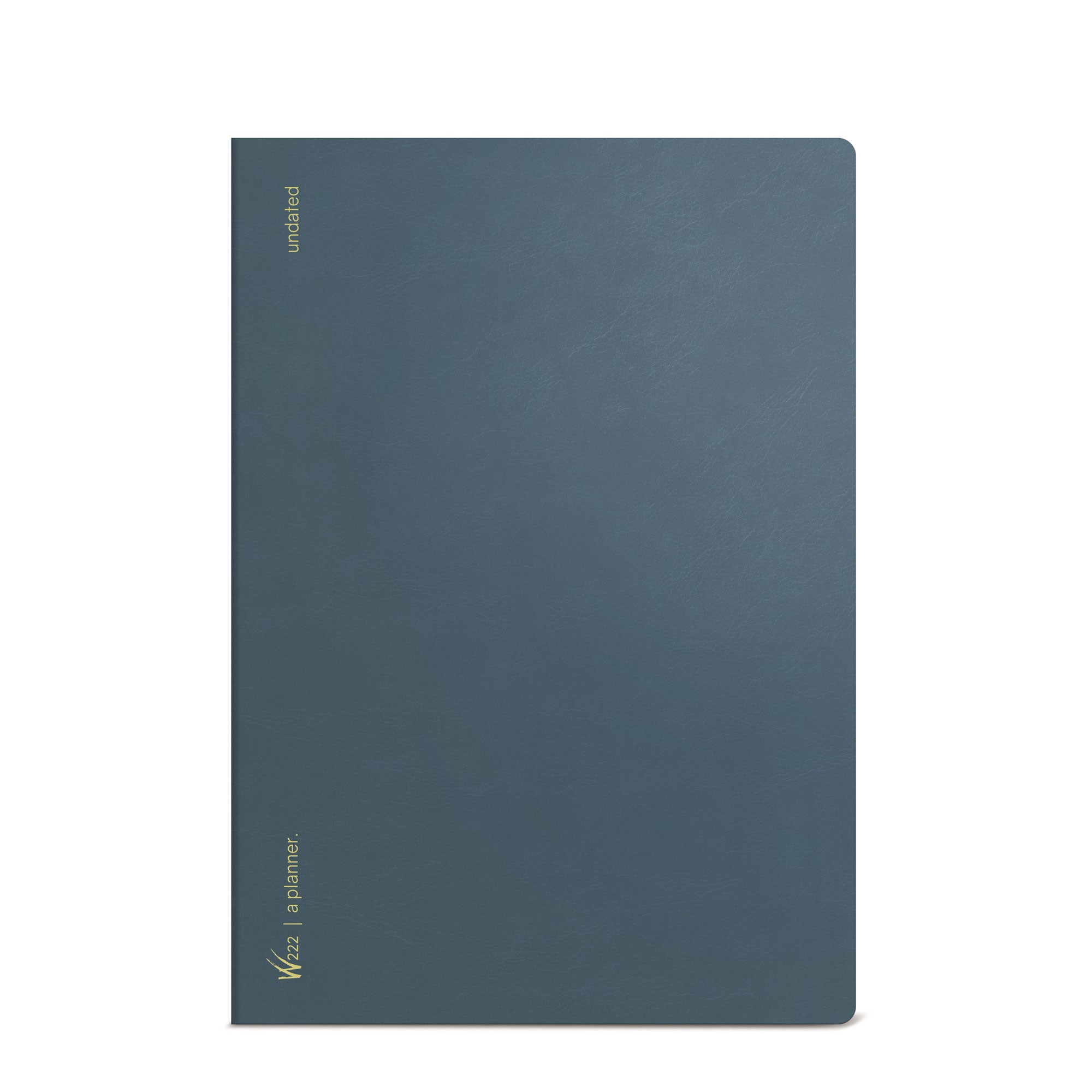 Buy 2025 Weekly Appointent Book & Planner - Large 2025 Daily Hourly