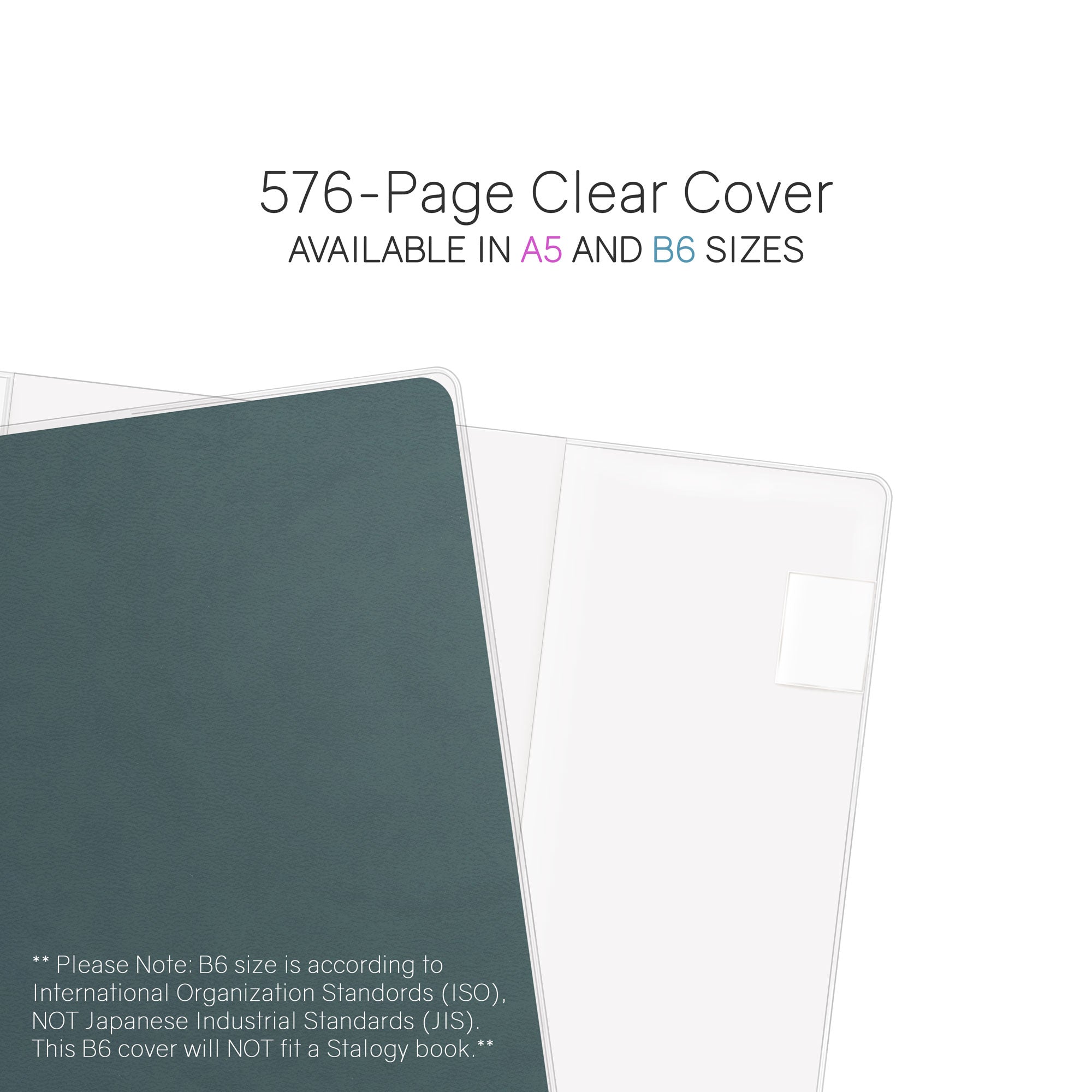 Vinyl Clear Cover (576pg All-In-One Planner)