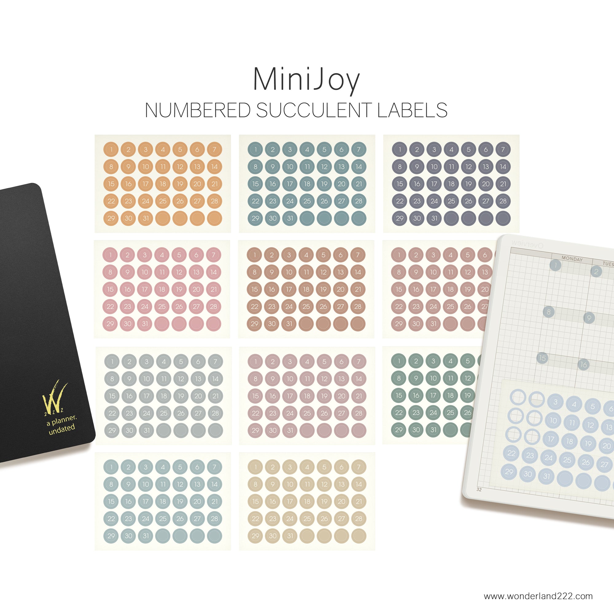 MiniJoy Calendar Washi (12 Transparent Sheets)