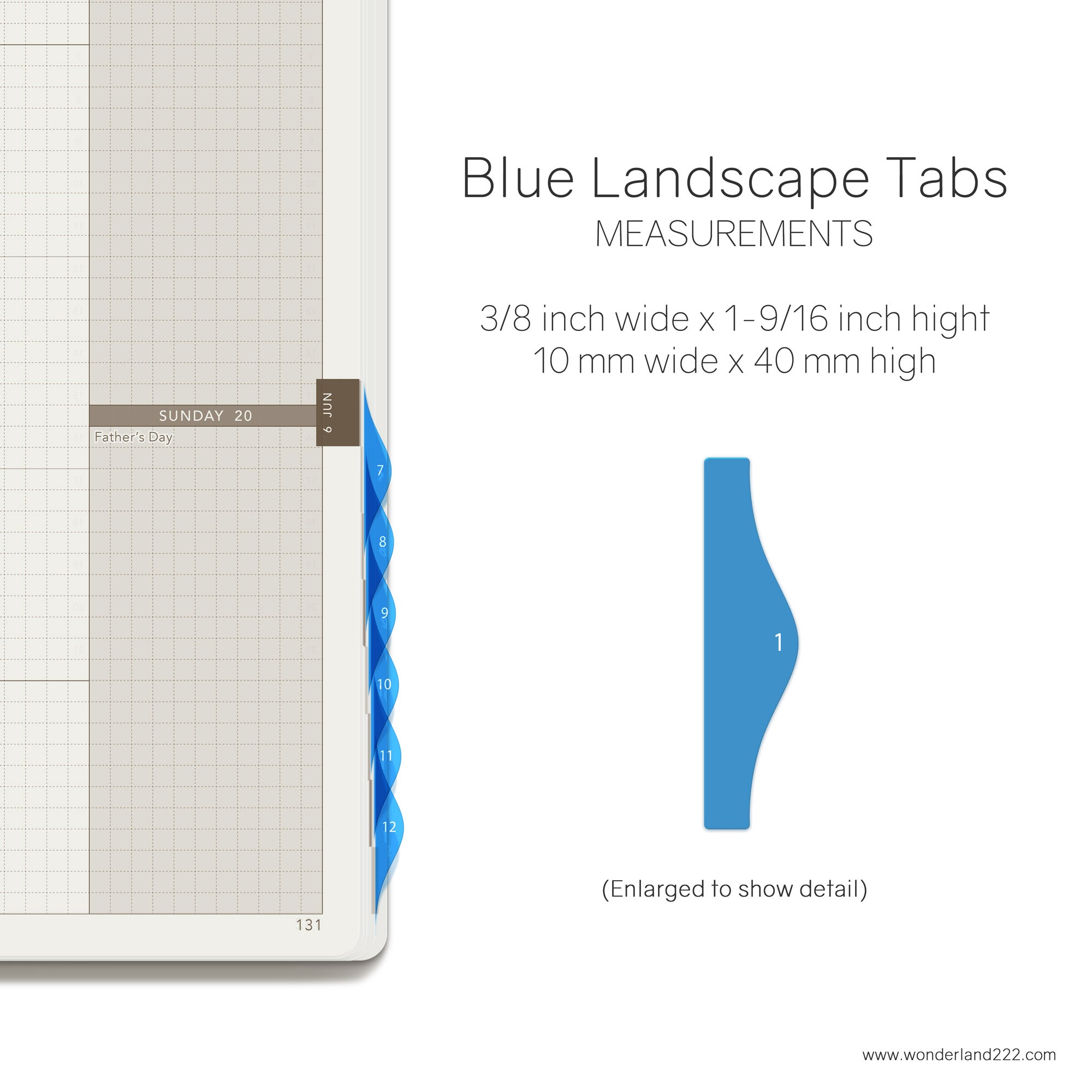 Wonderland 222 Tomoe River Paper Notebooks Planners with HighTide Landscape Monthly Index Tabs Blue Transparent