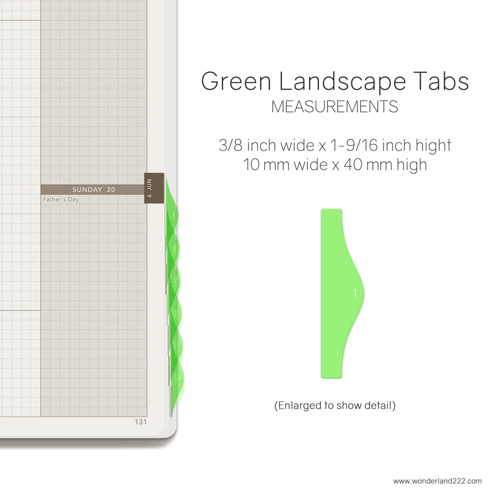 Wonderland 222 Tomoe River Paper Notebooks Planners with HighTide Landscape Monthly Index Tabs  Green Transparent