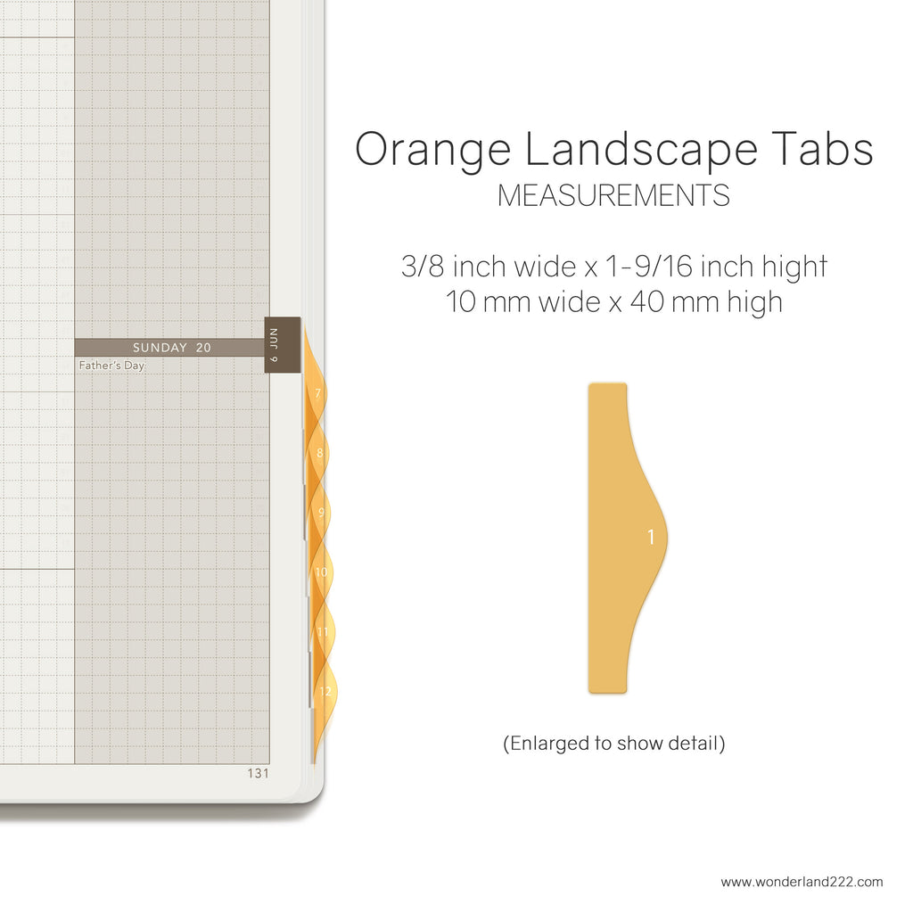 Wonderland 222 Tomoe River Paper Notebooks Planners with HighTide Landscape Monthly Index Tabs Orange Transparent
